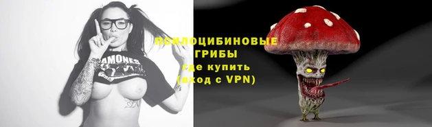 гидропоника Киренск