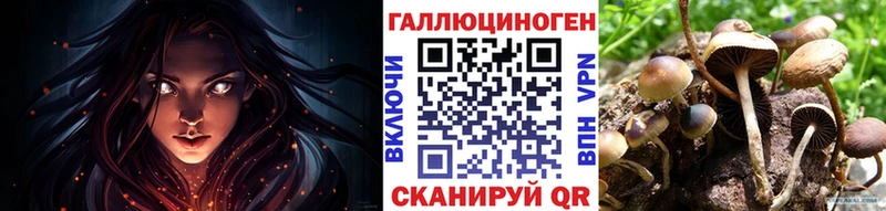Купить  Галич  Галлюциногенные грибы Psilocybe 